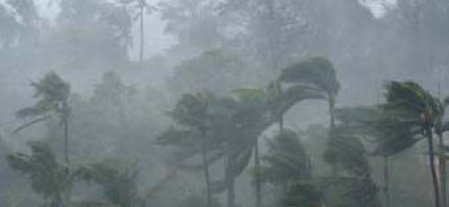 মুক্তিযুদ্ধের ছোটগল্প: রক্তস্নাত চিতই পিঠা মুক্তিযুদ্ধের ছোটগল্প: রক্তস্নাত চিতই পিঠা