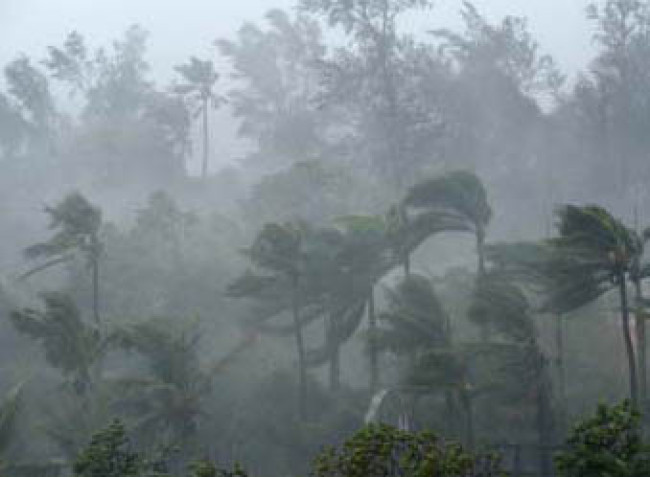 মুক্তিযুদ্ধের ছোটগল্প: রক্তস্নাত চিতই পিঠা