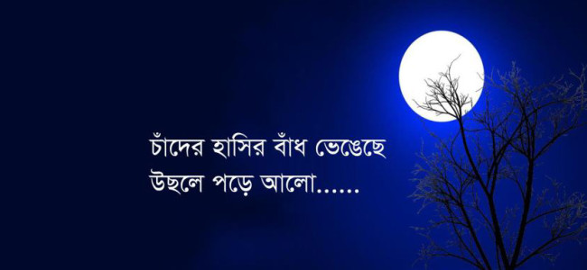 হুমায়ূন আহমেদের মৃত্যু, দাফন নিয়ে খোলামেলা কথা বলেছেন শাওন।