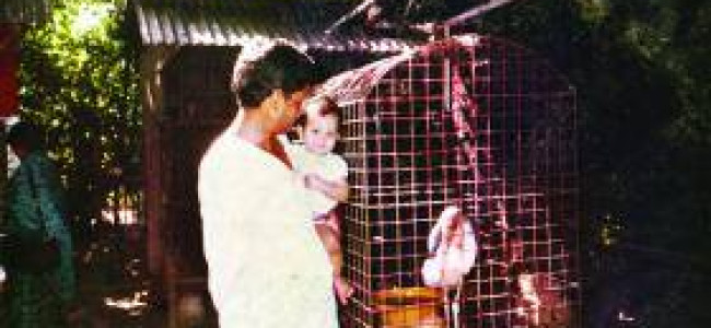 আলোর মশাল – নুহাশ হুমায়ূন আলোর মশাল – নুহাশ হুমায়ূন