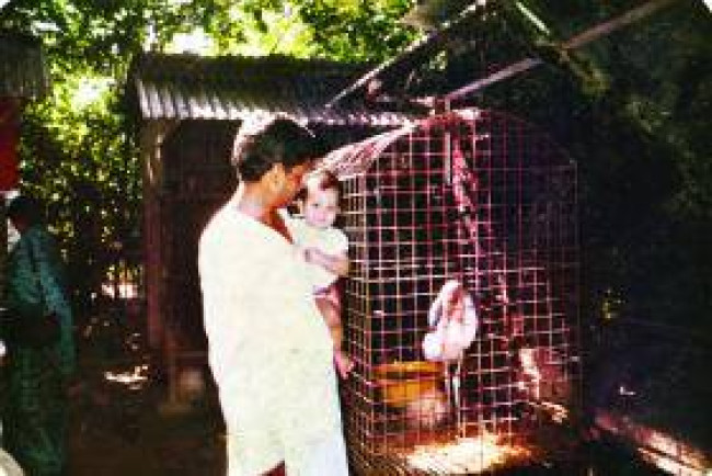 আলোর মশাল – নুহাশ হুমায়ূন আলোর মশাল – নুহাশ হুমায়ূন