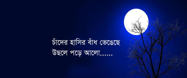 হুমায়ূন আহমেদের মৃত্যু, দাফন নিয়ে খোলামেলা কথা বলেছেন শাওন।